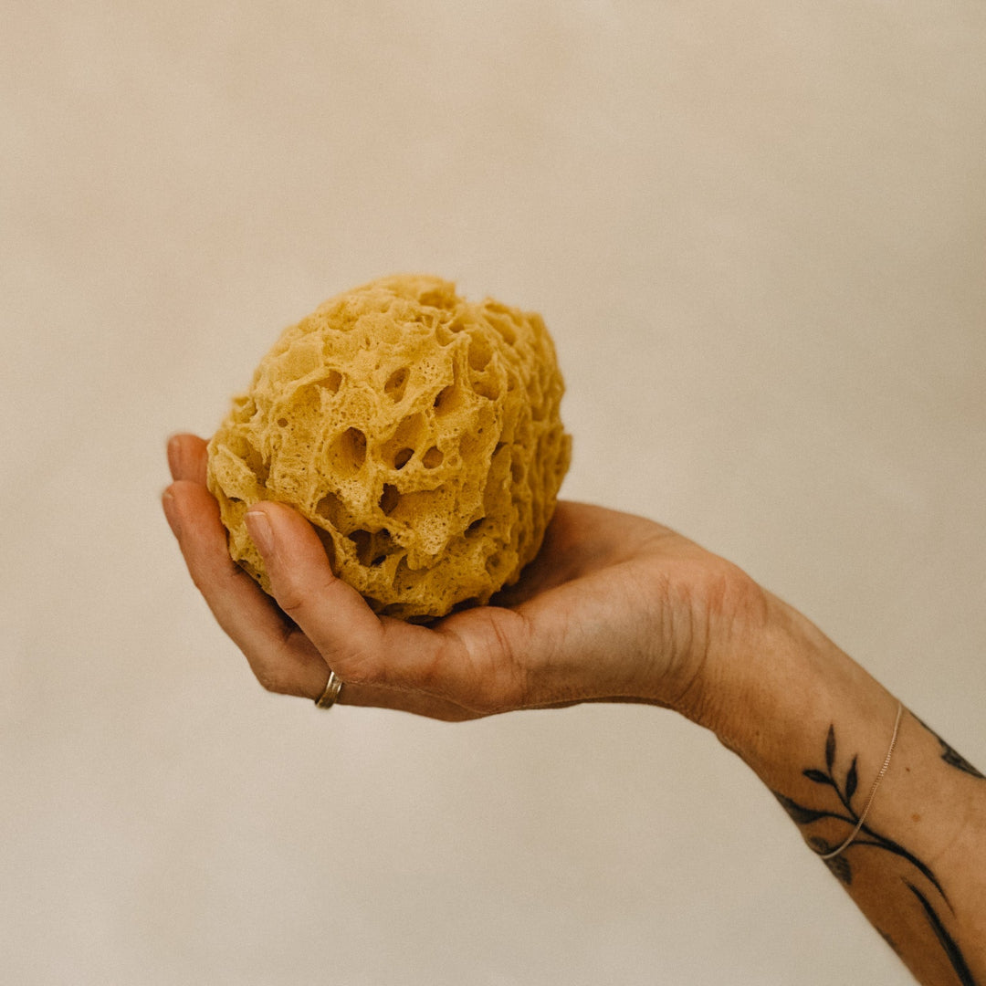 Natural Sea Sponges for Bath and Shower