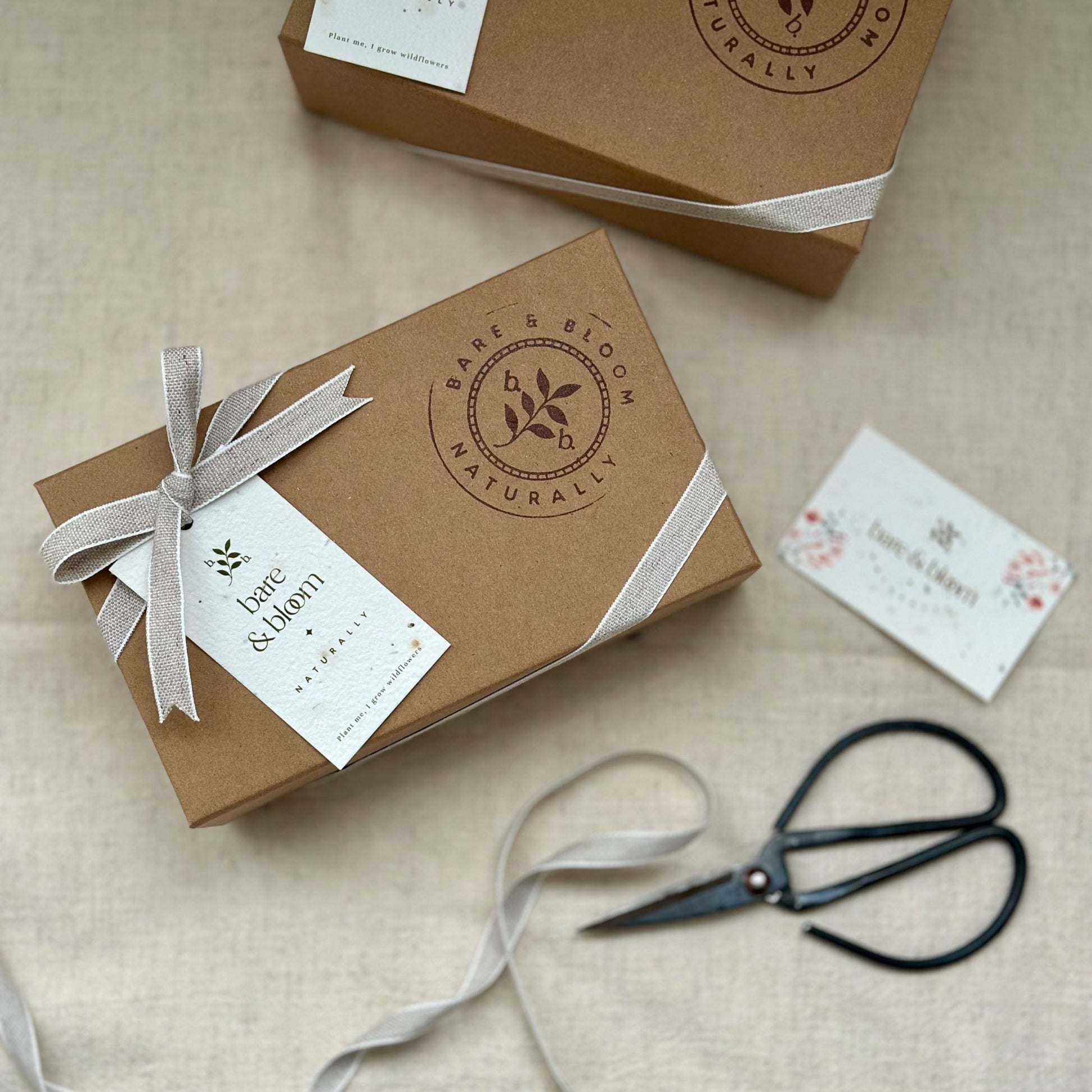 Botanical Soap and Stone Tray Gift Box - Bare and Bloom