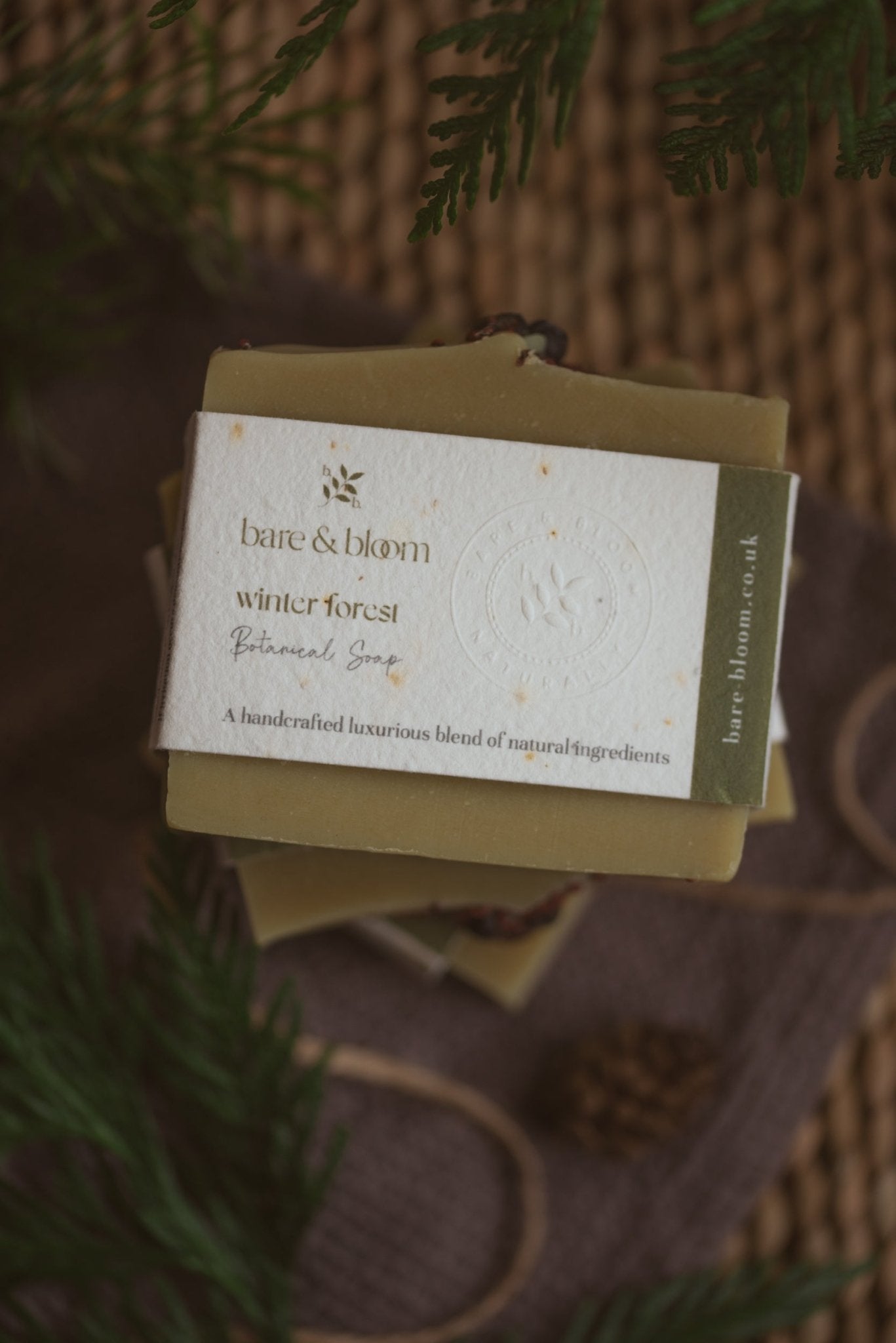 Eco - Friendly Christmas Soap Gift Set - Bare and Bloom